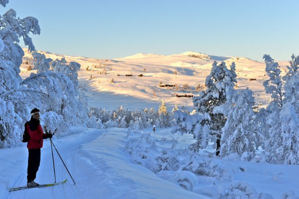 Skitur Tormodset